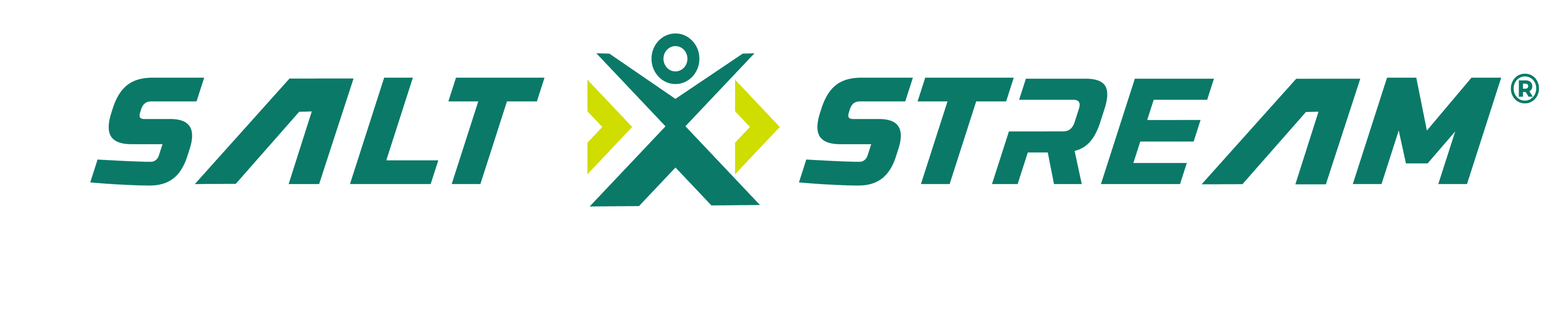 Salt Stream logo